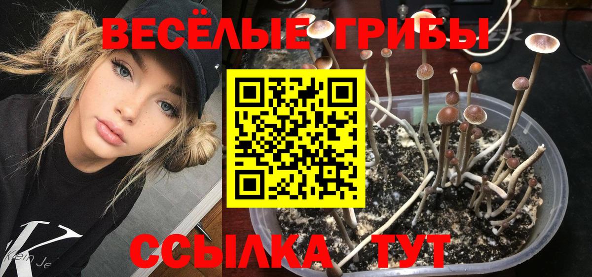 Балашиха  где купить наркоту  Вход с VPN  Псилоцибиновые грибы GOLDEN TEACHER 