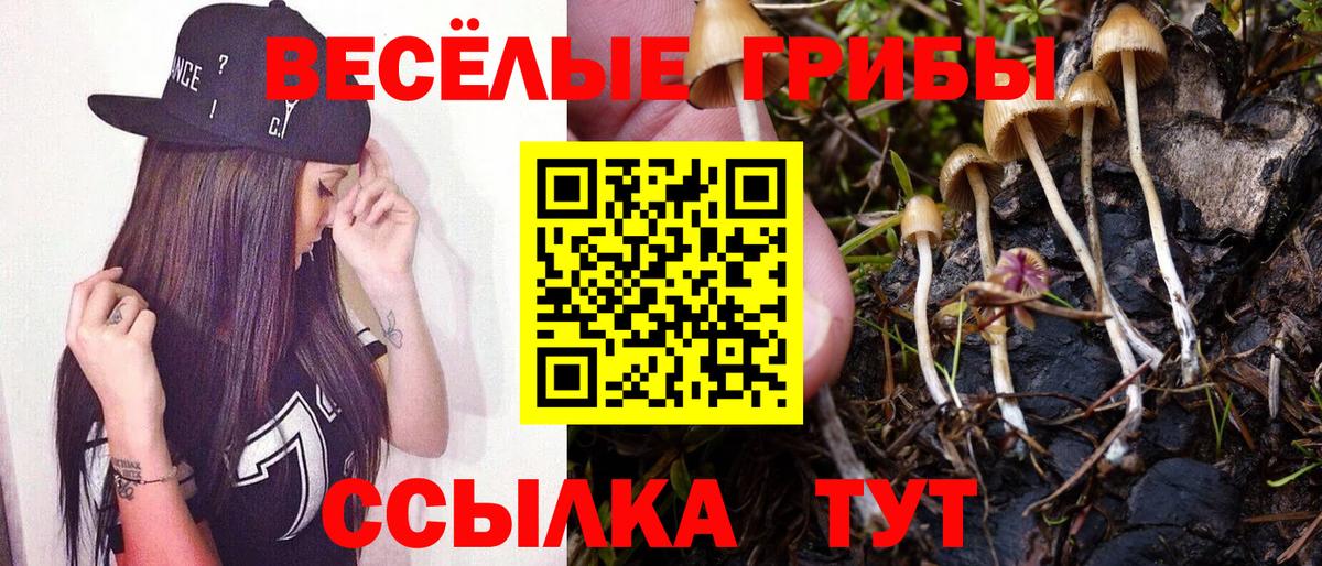 БУТИРАТ Балашиха